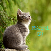 Music for Cats, Cat Music, Cats Music Zone - Peaceful Cat