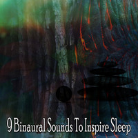 Binaural Beats Sleep - 9 Binaural Sounds to Inspire Sleep