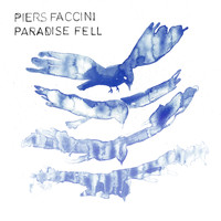 Piers Faccini - Paradise Fell (Edit version)