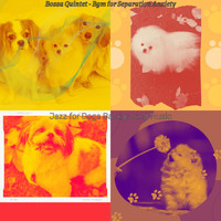 Jazz for Dogs Background Music - Bossa Quintet - Bgm for Separation Anxiety
