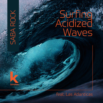 Saba Rock - Surfing Acidized Waves