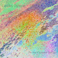 Conoley Ospovat - The Way It Sounded That Day