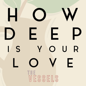 The Vessels - How Deep Is Your Love (Cover)