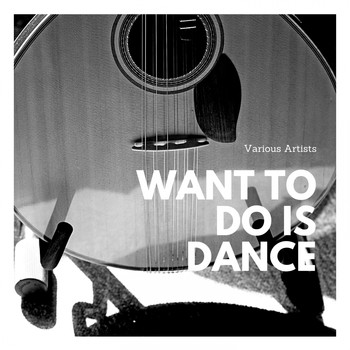Various Artists - Want to Do Is Dance