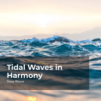 Sleep Waves - Tidal Waves in Harmony