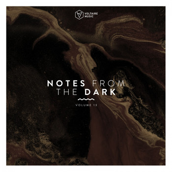 Various Artists - Notes from the Dark, Vol. 13