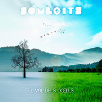 Somboits - El vol dels ocells