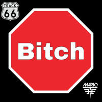 The Mario - Bitch (Explicit)