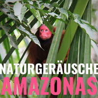 Evan Tierisch - Naturgeräusche Amazonas: Unwetter in den Tropen zum Einschlafen