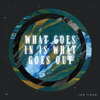 Ian Todd / - What Goes in Is What Goes Out