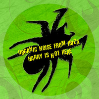 Organic Noise From Ibiza - Harry Is Not Here