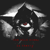 the wild sleep - In Theory