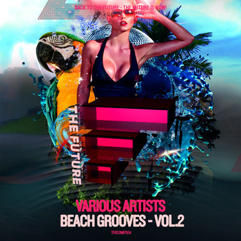 Various Artists - Beach Grooves, Vol.2