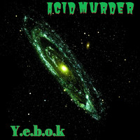 Y.e.b.o.k - Acid Murder (Explicit)