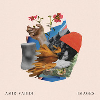 Amir Vahidi - Images