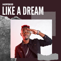 Hopekid - Like a Dream
