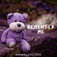 Animal Culture - Remember Me