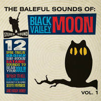 Black Valley Moon - The Baleful Sounds of Black Valley Moon, Vol.1