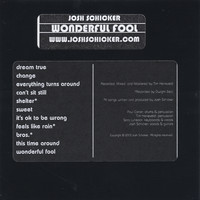 Josh Schicker - Wonderful Fool