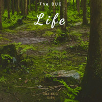 The Bug - Life