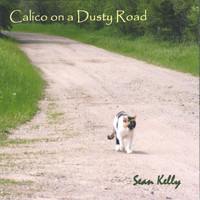 Sean Kelly - Calico on a Dusty Road
