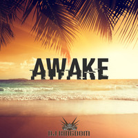 Dj Kingdom - Awake
