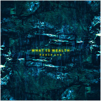 Space One - What Is Wealth