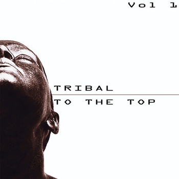 Various Artists - Tribal to the Top, Vol. 1 - Tribal for Every Mood
