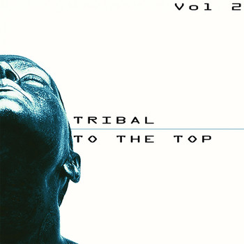 Various Artists - Tribal to the Top, Vol. 2 - Tribal for Every Mood