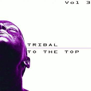 Various Artists - Tribal to the Top, Vol. 3 - Tribal for Every Mood