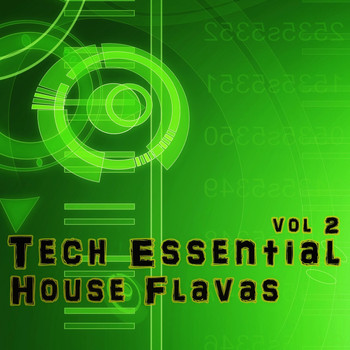 Various Artists - Tech Essential House Flavas 2