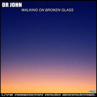 Dr John - Walking On Broken Glass (Live)