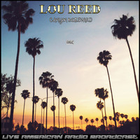 Lou Reed - Canyon Boulevard (Live)