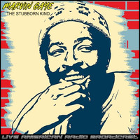 Marvin Gaye - The Stubborn Kind (Live)