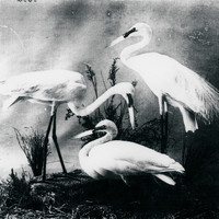 The Dead Weather - Buzzkill(er)