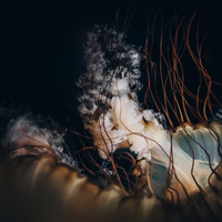 Hannes Kretzer - Dive