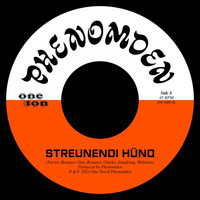 Phenomden - Streunendi Hünd (Single Version)