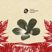 Luis Miranda - Saturation (Original Mix)