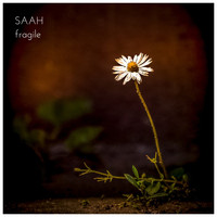 Saah - Fragile