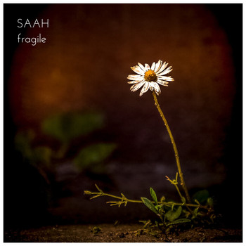 Saah - Fragile