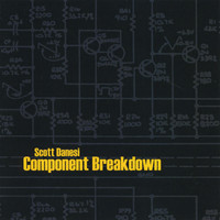 Scott Danesi - Component Breakdown