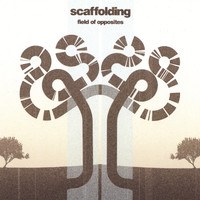 Scaffolding - Field of Opposites