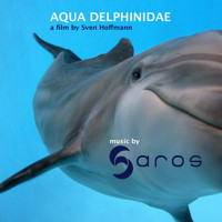 Saros - Aqua Delphinidae
