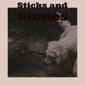 Various Artist - Sticks and Stones