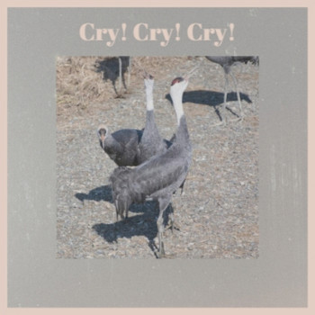 Various Artist - Cry! Cry! Cry!