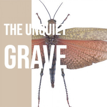 Various Artist - The Unquiet Grave