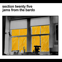 Section 25 - Jams From The Bardo