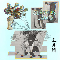 Cleophus James - 1am