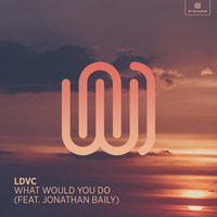LDVC featuring Jonathan Baily - What Would You Do