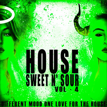 Various Artists - House Sweet N' Sour, Vol. 4